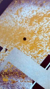 Medi-Tape-Tion_closeup_02_tiny